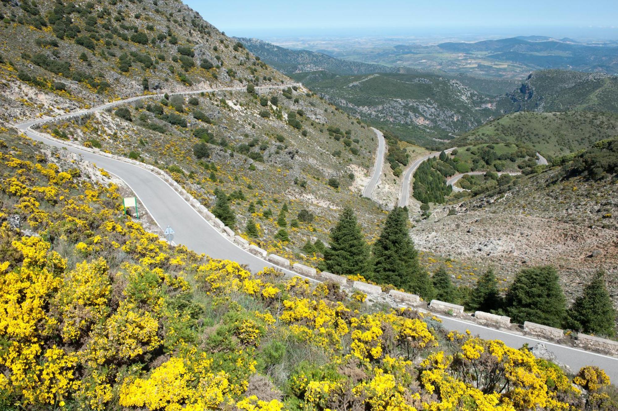 Al Lago Zahara De La Sierra Dış mekan fotoğraf